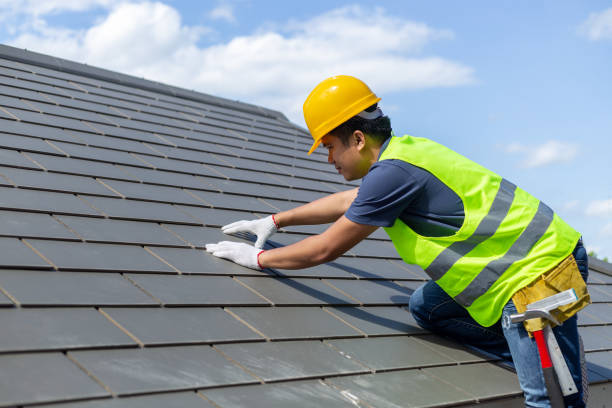 Best Roof Ventilation Installation  in Paxton, IL
