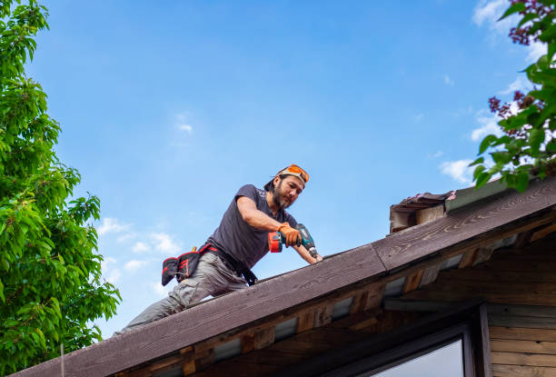 Asphalt Shingles Roofing in Paxton, IL