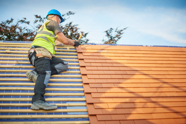 Best Storm Damage Roof Repair  in Paxton, IL